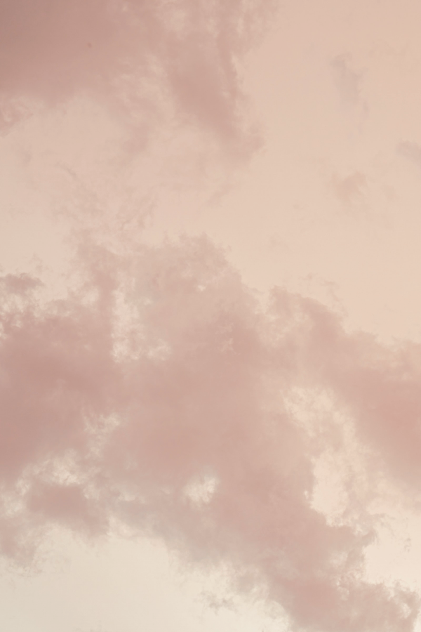 Pink and brown HD wallpapers  Pxfuel