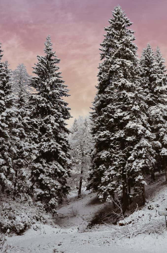 50+ Beautiful Winter Wallpaper Aesthetic You'll Love! - Prada & Pearls