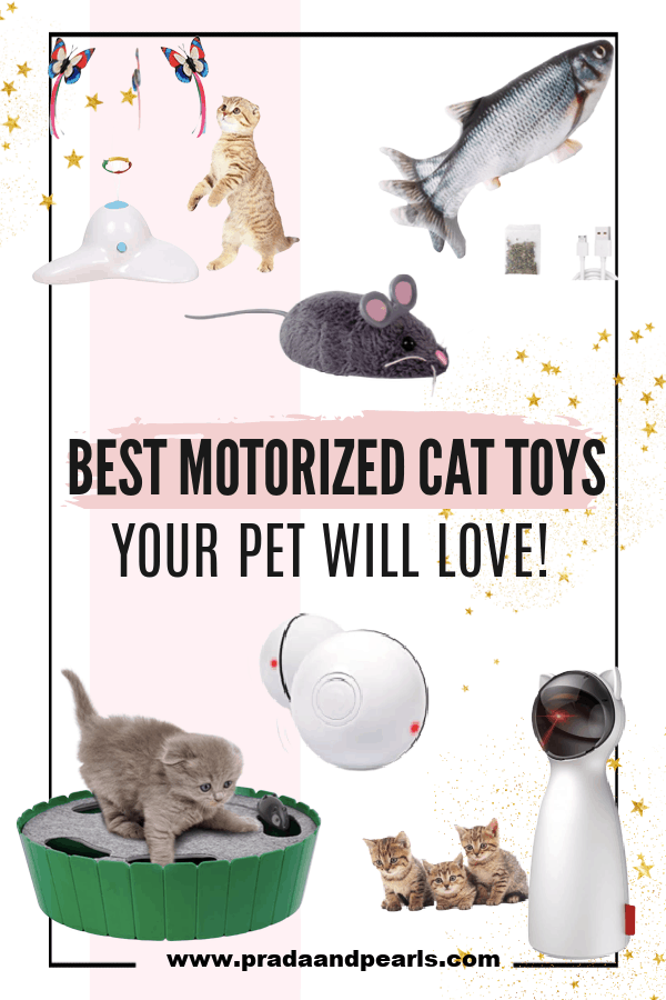 best motorized cat toys
