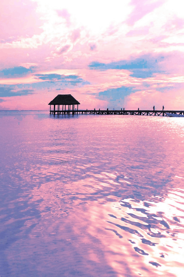 Pink Beach Aesthetic Photos : Pink Beach 1080p 2k 4k 5k Hd Wallpapers Free Download Wallpaper Flare