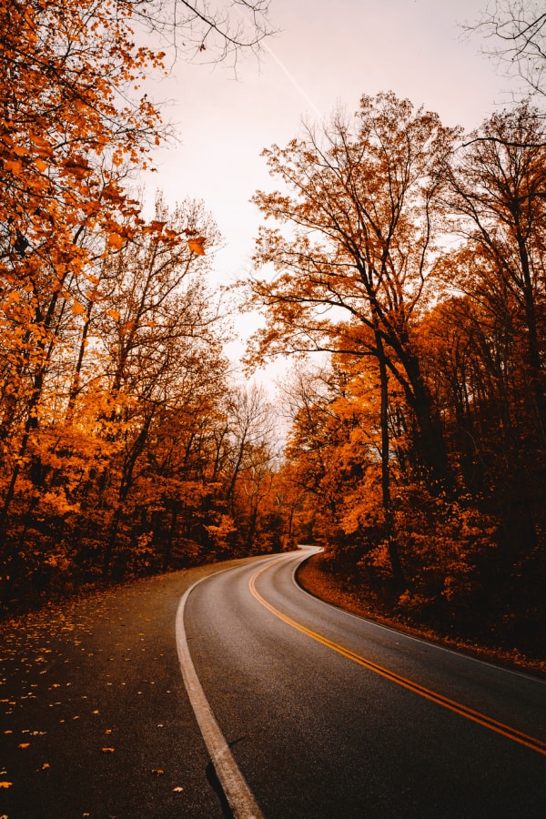 50+ Stunning Fall Wallpaper For Your iPhone! - Luv68