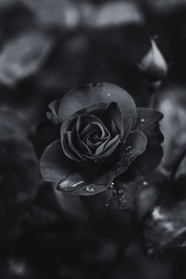 Black aesthetic wallpapers APK for Android Download