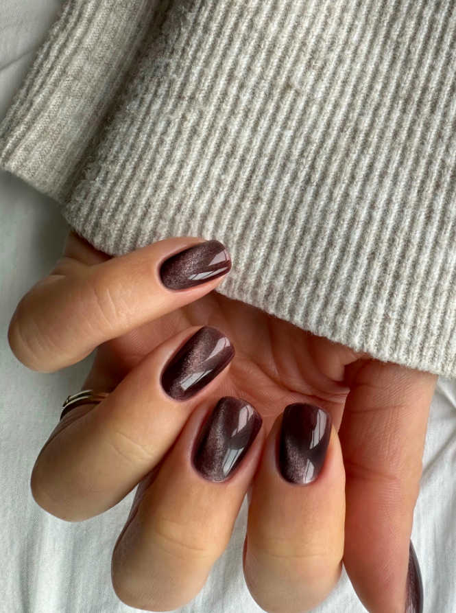 fall nails, fall nails 2026, easy fall nails 2026, simple fall nails, fall nail designs, fall nails acrylic, fall nail ideas, 2026 nail ideas, brown nails, brown fall nails, cat eye nails